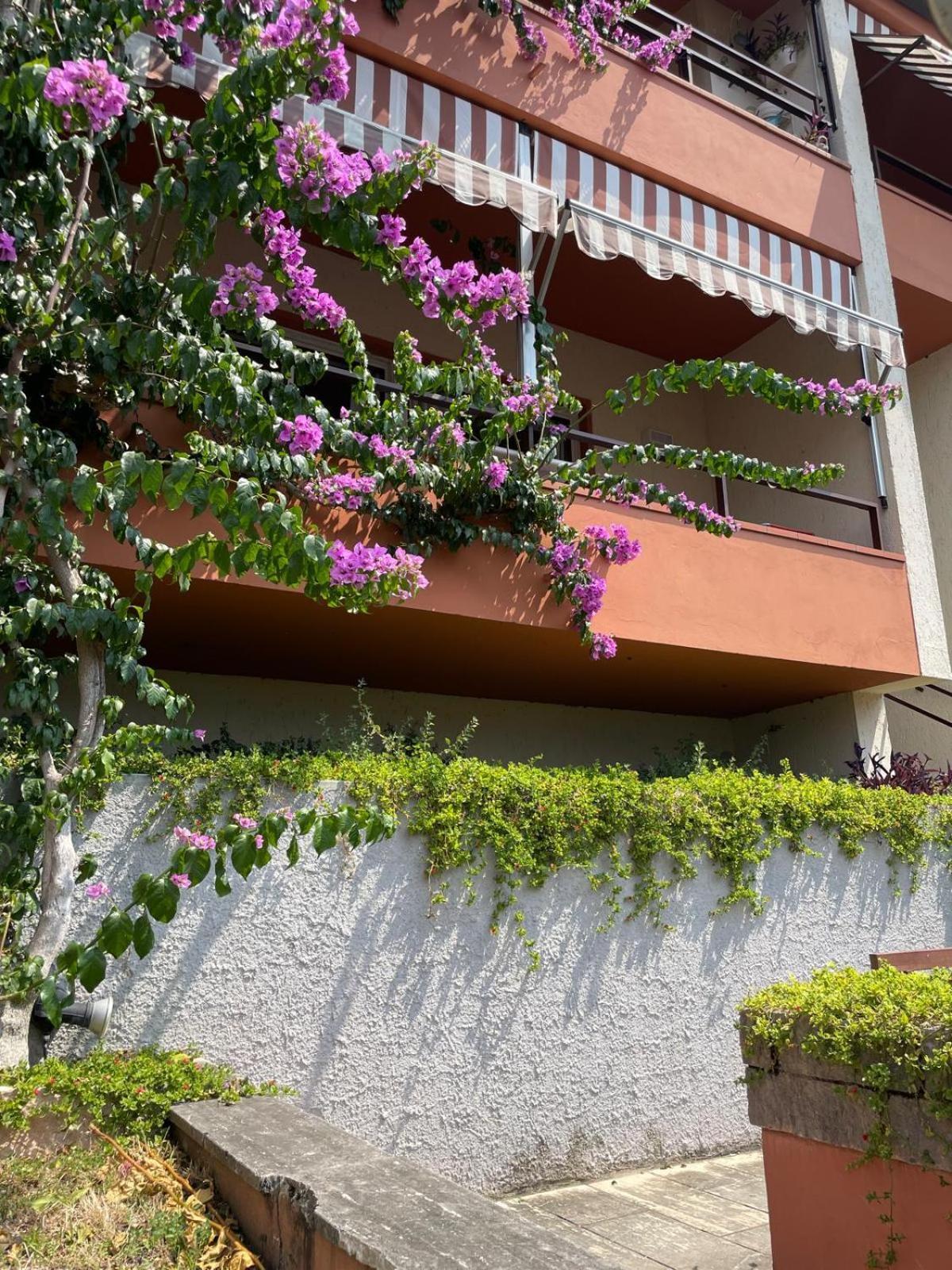 Residence Kormorano Malcesine Zewnętrze zdjęcie